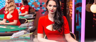 Live dealer at Three Card Poker table on 95 togel with HD multi-camera feed